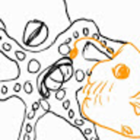 c_pit_sci
